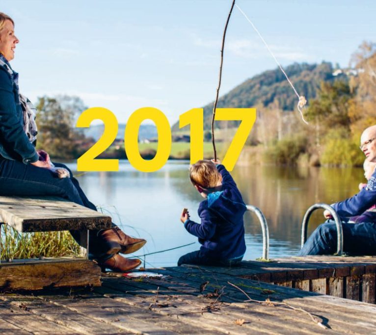 Geschäftsbericht 2017
